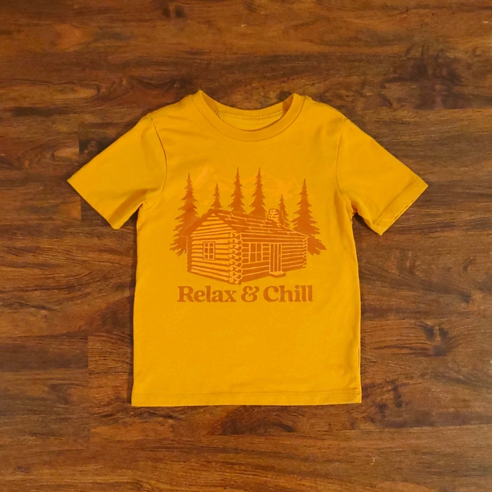 T-Shirt Lot (2) 4T